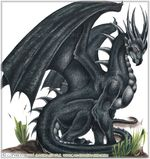 black-dragon