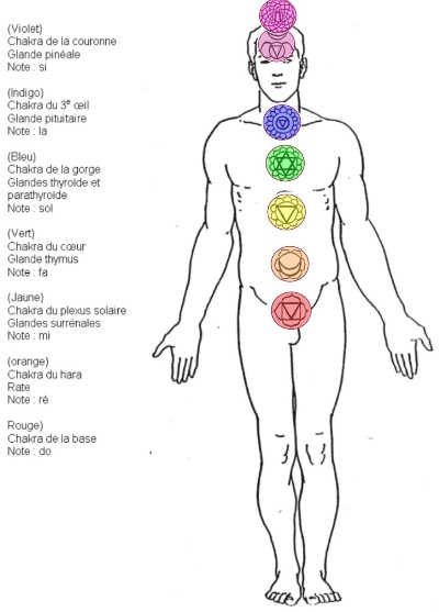 chakra-positions