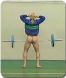 muscle central