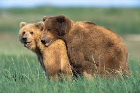 ours