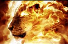 Lion en flamme