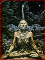 Siddha4