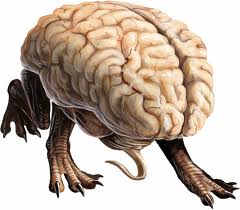 intellect sur pattes