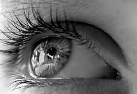 oeil7