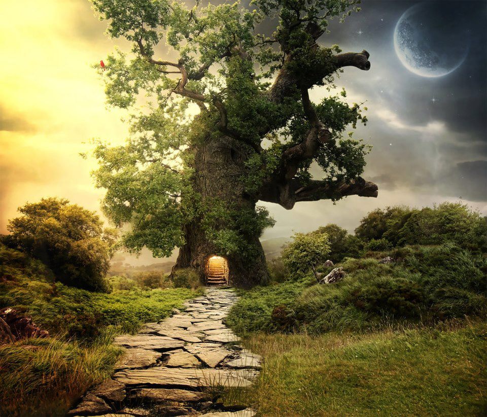 Arbre-porte