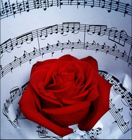 rose-notes-musique