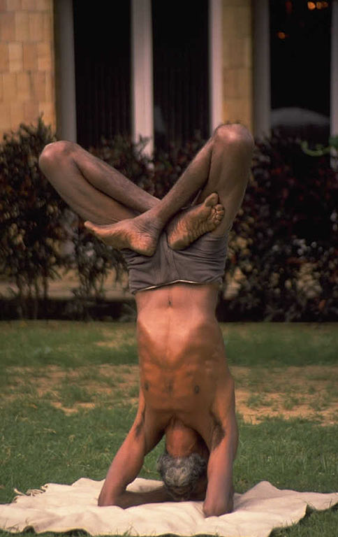 yogui